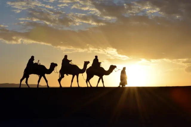 Private Camel Ride Tour In Agafay Desert