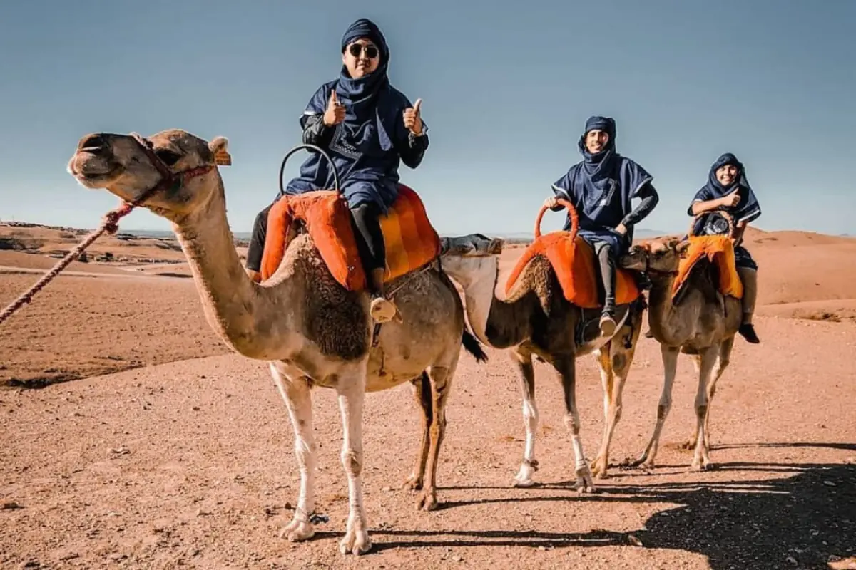 agafay camel ride